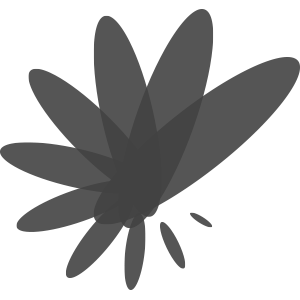 Visual CV